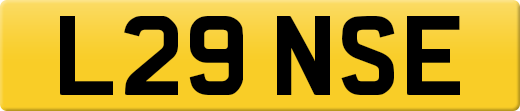 L29NSE