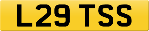 L29TSS