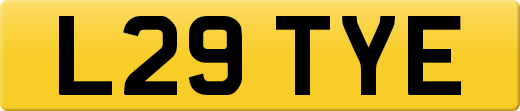 L29TYE