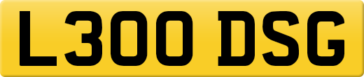 L300DSG