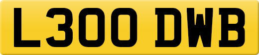 L300DWB