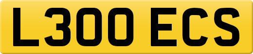 L300ECS