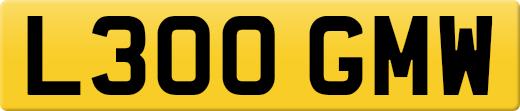 L300GMW