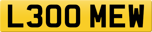 L300MEW