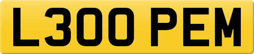L300PEM