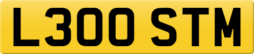 L300STM