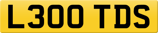 L300TDS