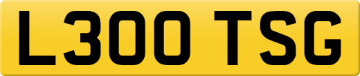 L300TSG