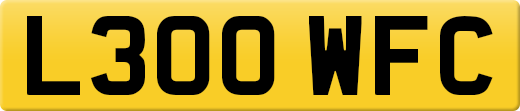 L300WFC