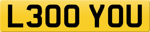 L300YOU