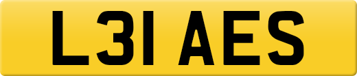 L31AES