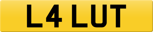 L4LUT