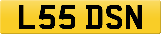L55DSN