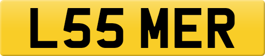 L55MER