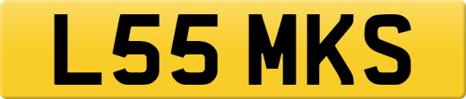 L55MKS