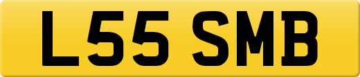 L55SMB