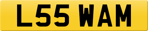 L55WAM