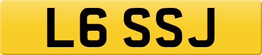 L6SSJ