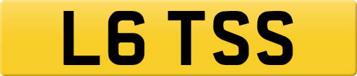 L6TSS