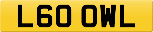 L60OWL