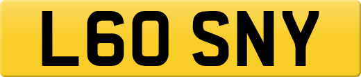L60SNY