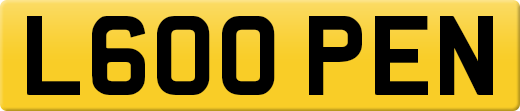 L600PEN