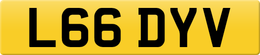 L66DYV