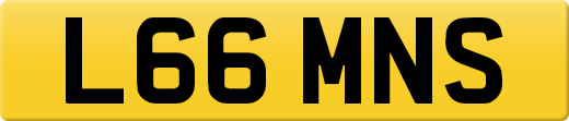 L66MNS