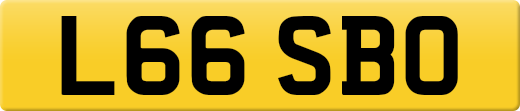 L66SBO