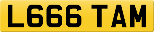 L666TAM