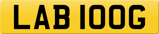 LAB100G