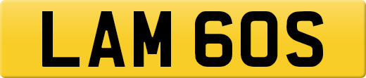 LAM60S