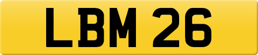 LBM26