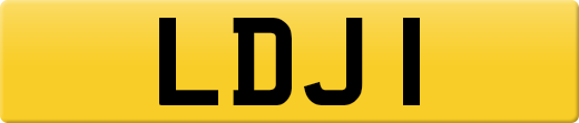 LDJ1
