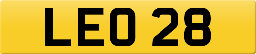 LEO28