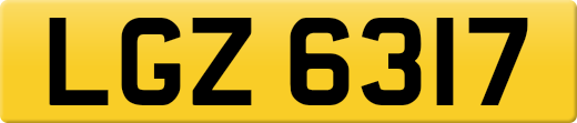 LGZ6317