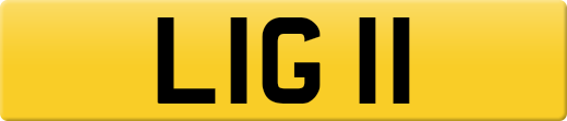 LIG11