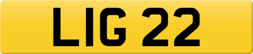 LIG22