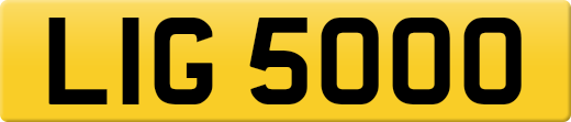 LIG5000