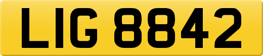 LIG8842