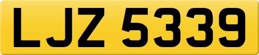 LJZ5339