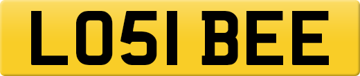 LO51BEE