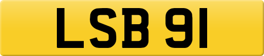 LSB91