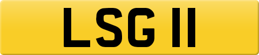 LSG11