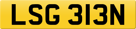 LSG313N