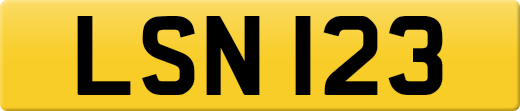 LSN123