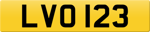 LVO123