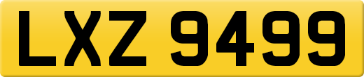 LXZ9499