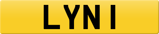 LYN1