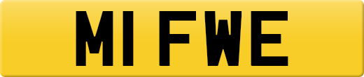 M1FWE